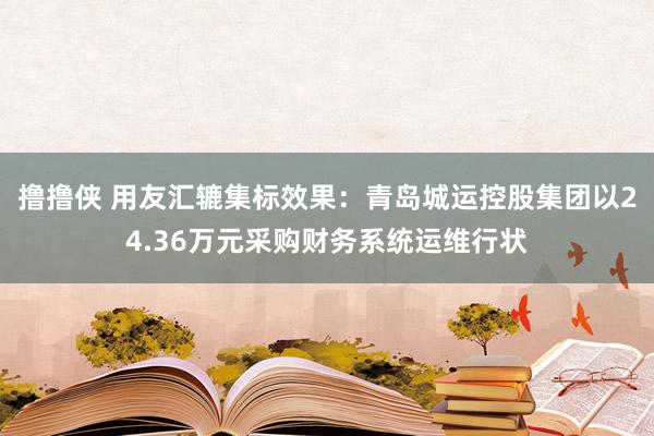 撸撸侠 用友汇辘集标效果：青岛城运控股集团以24.36万元采购财务系统运维行状