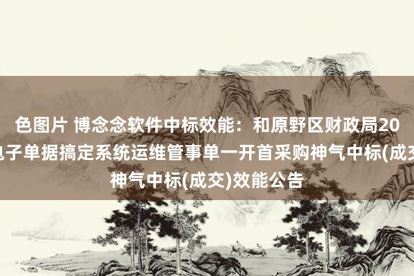 色图片 博念念软件中标效能：和原野区财政局2024年财政电子单据搞定系统运维管事单一开首采购神气中标(成交)效能公告