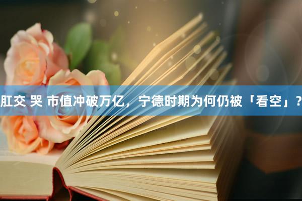 肛交 哭 市值冲破万亿，宁德时期为何仍被「看空」？