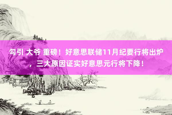 勾引 大爷 重磅！好意思联储11月纪要行将出炉，三大原因证实好意思元行将下降！