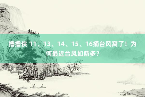 撸撸侠 11、13、14、15、16捅台风窝了！为何最近台风如斯多？