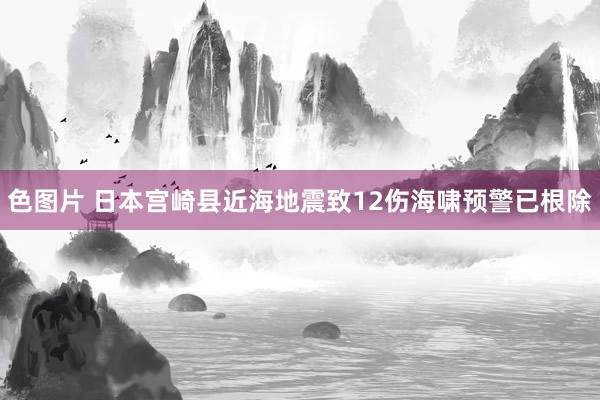 色图片 日本宫崎县近海地震致12伤　海啸预警已根除