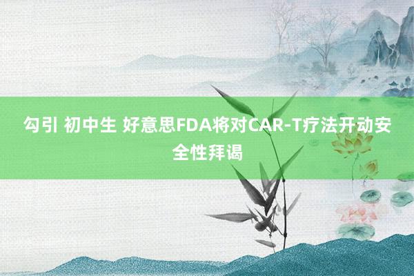 勾引 初中生 好意思FDA将对CAR-T疗法开动安全性拜谒