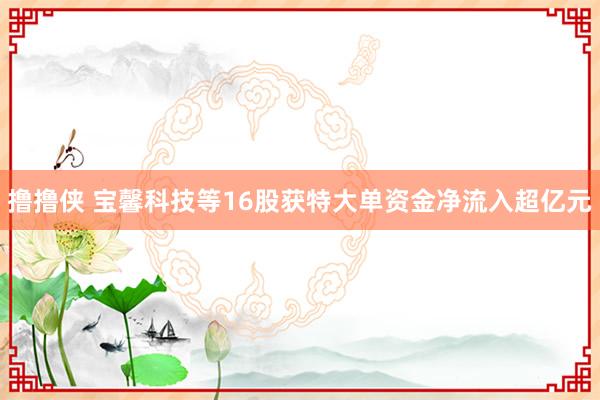 撸撸侠 宝馨科技等16股获特大单资金净流入超亿元