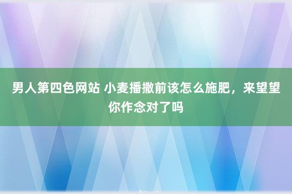 男人第四色网站 小麦播撒前该怎么施肥，来望望你作念对了吗