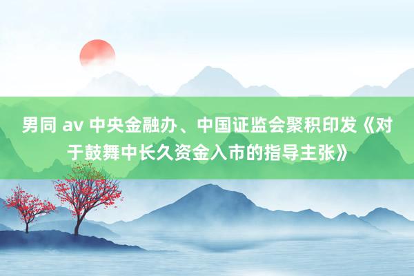 男同 av 中央金融办、中国证监会聚积印发《对于鼓舞中长久资金入市的指导主张》