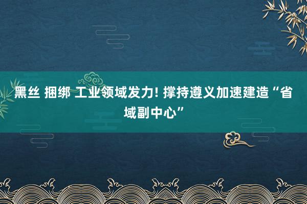 黑丝 捆绑 工业领域发力! 撑持遵义加速建造“省域副中心”