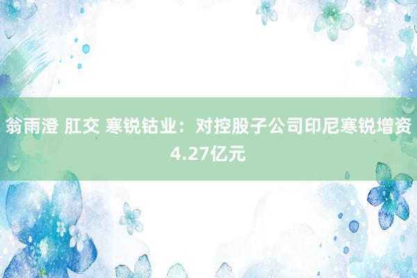 翁雨澄 肛交 寒锐钴业：对控股子公司印尼寒锐增资4.27亿元