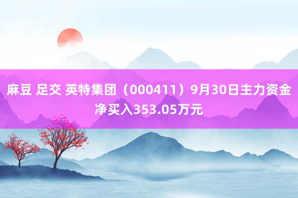 麻豆 足交 英特集团（000411）9月30日主力资金净买入353.05万元