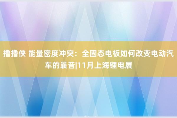 撸撸侠 能量密度冲突：全固态电板如何改变电动汽车的曩昔|11月上海锂电展