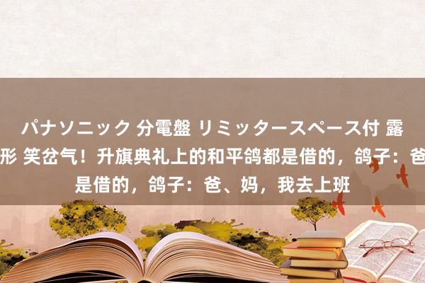 パナソニック 分電盤 リミッタースペース付 露出・半埋込両用形 笑岔气！升旗典礼上的和平鸽都是借的，鸽子：爸、妈，我去上班