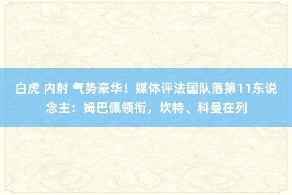 白虎 内射 气势豪华！媒体评法国队落第11东说念主：姆巴佩领衔，坎特、科曼在列