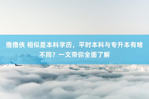 撸撸侠 相似是本科学历，平时本科与专升本有啥不同？一文带你全面了解