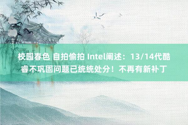 校园春色 自拍偷拍 Intel阐述：13/14代酷睿不巩固问题已统统处分！不再有新补丁