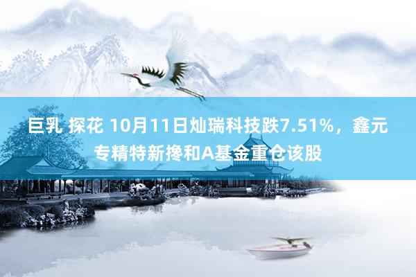 巨乳 探花 10月11日灿瑞科技跌7.51%，鑫元专精特新搀和A基金重仓该股