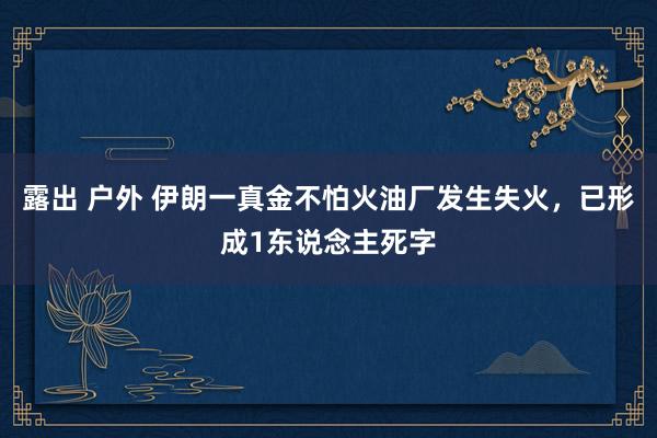 露出 户外 伊朗一真金不怕火油厂发生失火，已形成1东说念主死字