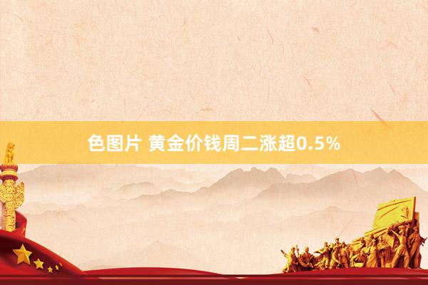 色图片 黄金价钱周二涨超0.5%