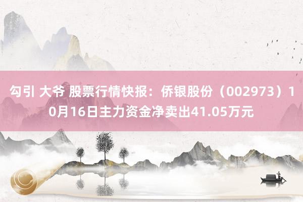 勾引 大爷 股票行情快报：侨银股份（002973）10月16日主力资金净卖出41.05万元