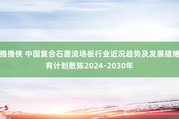 撸撸侠 中国复合石墨流场板行业近况趋势及发展缱绻有计划敷陈2024-2030年