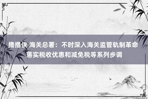 撸撸侠 海关总署：不时深入海关监管轨制革命 落实税收优惠和减免税等系列步调