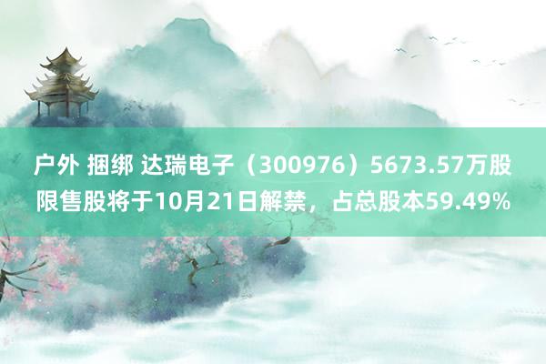 户外 捆绑 达瑞电子（300976）5673.57万股限售股将于10月21日解禁，占总股本59.49%