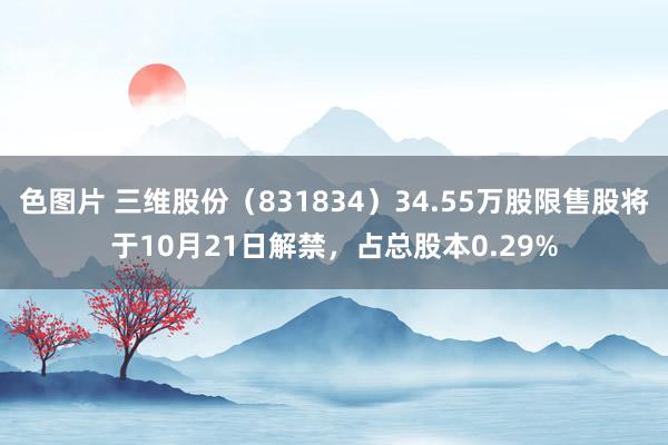 色图片 三维股份（831834）34.55万股限售股将于10月21日解禁，占总股本0.29%