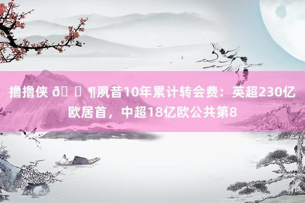 撸撸侠 💶夙昔10年累计转会费：英超230亿欧居首，中超18亿欧公共第8