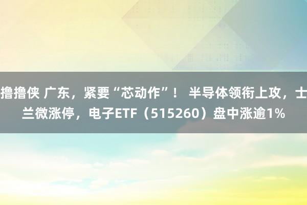 撸撸侠 广东，紧要“芯动作”！ 半导体领衔上攻，士兰微涨停，电子ETF（515260）盘中涨逾1%