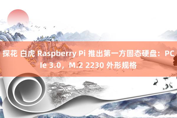 探花 白虎 Raspberry Pi 推出第一方固态硬盘：PCIe 3.0，M.2 2230 外形规格