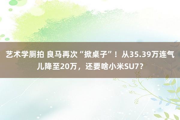 艺术学厕拍 良马再次“掀桌子”！从35.39万连气儿降至20万，还要啥小米SU7？