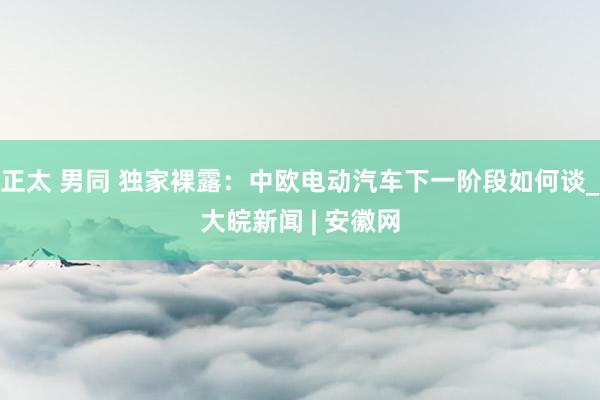 正太 男同 独家裸露：中欧电动汽车下一阶段如何谈_大皖新闻 | 安徽网