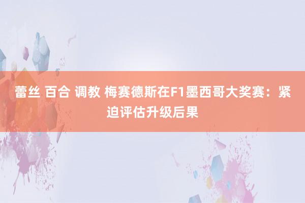 蕾丝 百合 调教 梅赛德斯在F1墨西哥大奖赛：紧迫评估升级后果