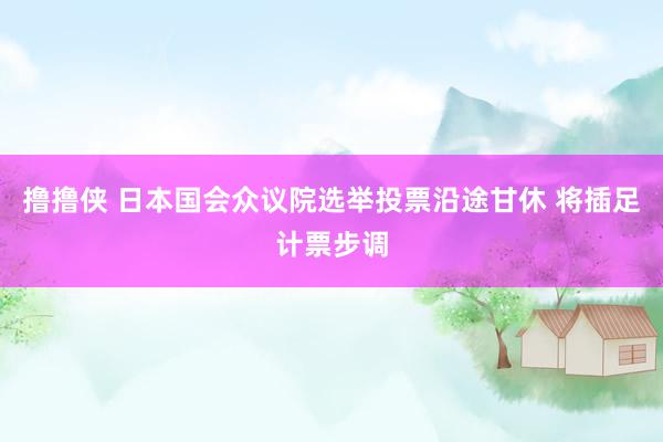 撸撸侠 日本国会众议院选举投票沿途甘休 将插足计票步调