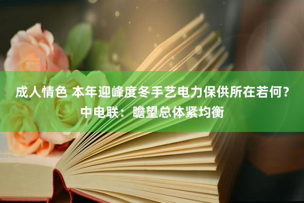 成人情色 本年迎峰度冬手艺电力保供所在若何？中电联：瞻望总体紧均衡