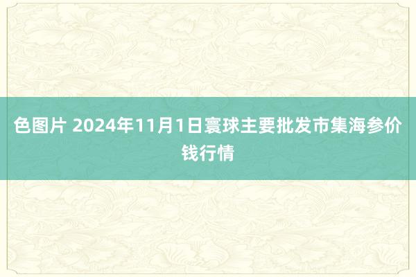 色图片 2024年11月1日寰球主要批发市集海参价钱行情