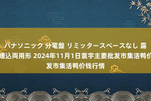 パナソニック 分電盤 リミッタースペースなし 露出・半埋込両用形 2024年11月1日寰宇主要批发市集活鸭价钱行情