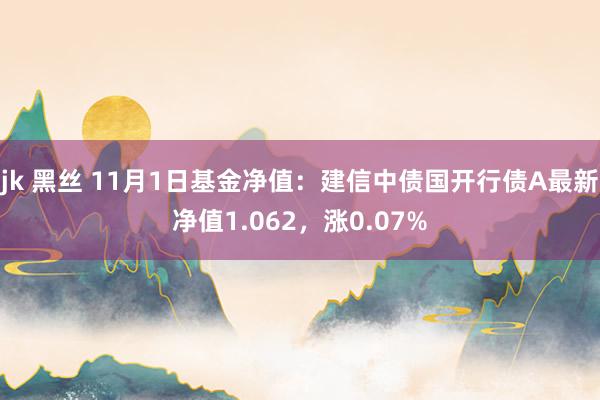 jk 黑丝 11月1日基金净值：建信中债国开行债A最新净值1.062，涨0.07%