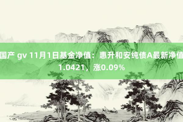 国产 gv 11月1日基金净值：惠升和安纯债A最新净值1.0421，涨0.09%