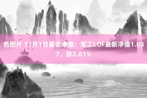 色图片 11月1日基金净值：军工LOF最新净值1.037，跌2.81%