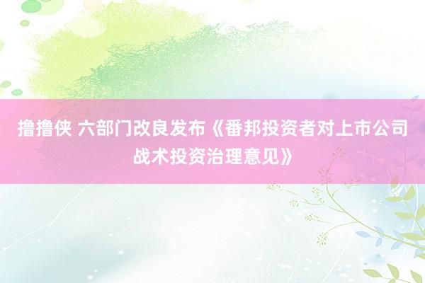 撸撸侠 六部门改良发布《番邦投资者对上市公司战术投资治理意见》