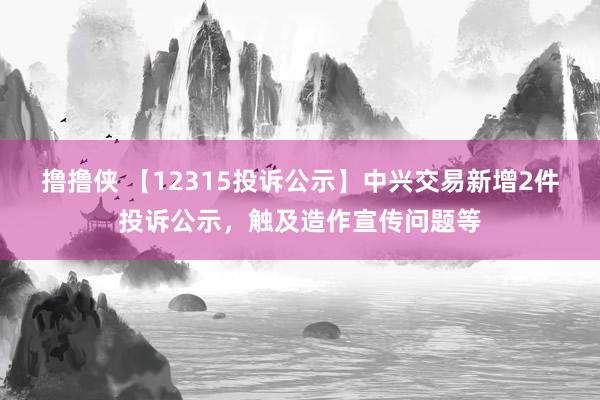 撸撸侠 【12315投诉公示】中兴交易新增2件投诉公示，触及造作宣传问题等