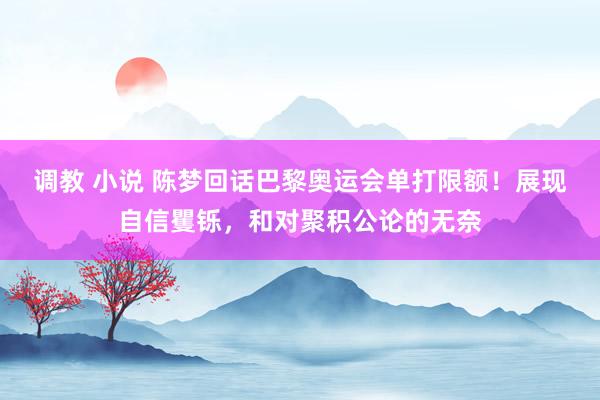 调教 小说 陈梦回话巴黎奥运会单打限额！展现自信矍铄，和对聚积公论的无奈