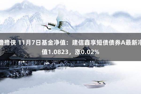 撸撸侠 11月7日基金净值：建信鑫享短债债券A最新净值1.0823，涨0.02%