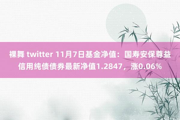 裸舞 twitter 11月7日基金净值：国寿安保尊益信用纯债债券最新净值1.2847，涨0.06%