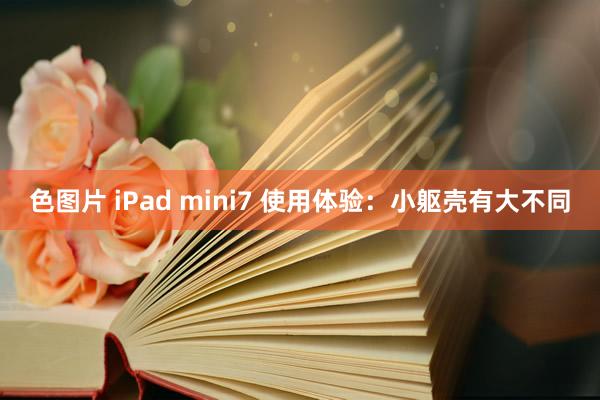 色图片 iPad mini7 使用体验：小躯壳有大不同