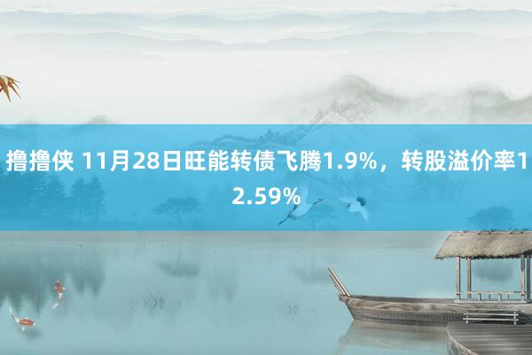 撸撸侠 11月28日旺能转债飞腾1.9%，转股溢价率12.59%