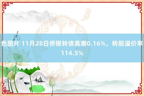 色图片 11月28日侨银转债高潮0.16%，转股溢价率114.5%