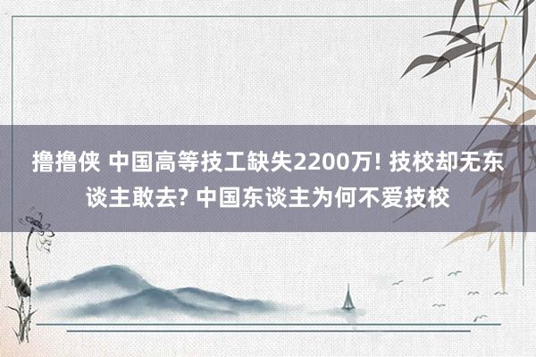 撸撸侠 中国高等技工缺失2200万! 技校却无东谈主敢去? 中国东谈主为何不爱技校