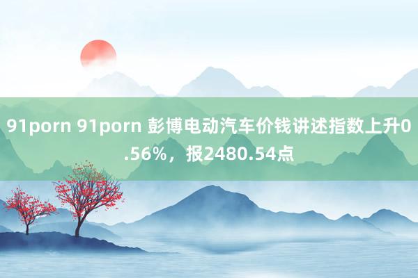 91porn 91porn 彭博电动汽车价钱讲述指数上升0.56%，报2480.54点