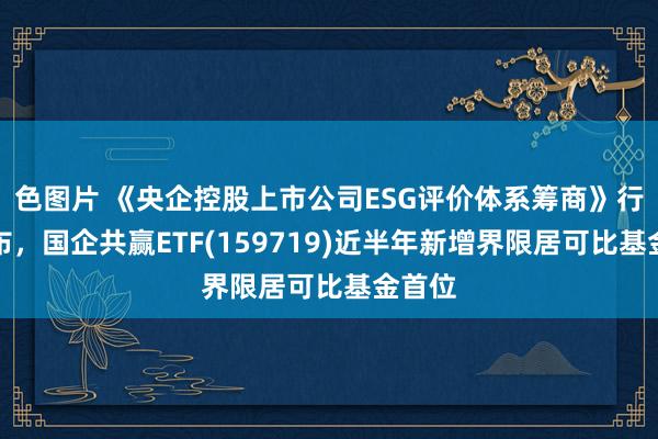 色图片 《央企控股上市公司ESG评价体系筹商》行将发布，国企共赢ETF(159719)近半年新增界限居可比基金首位